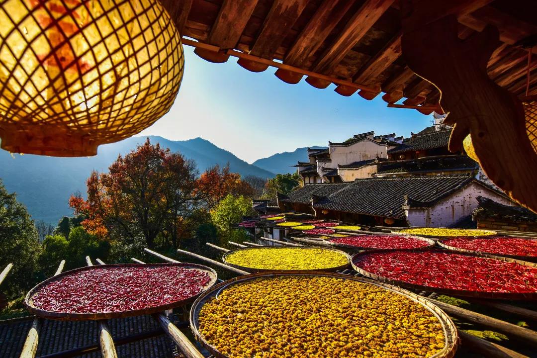 廬山、鄱陽(yáng)湖石鐘山、景德鎮(zhèn)、婺源篁嶺、三清山四日游